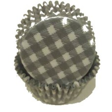 #450C Gingham Silver