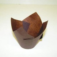 #Tulip Cup Brown