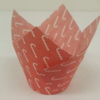 #Tulip Cup Candy Cane Red