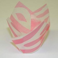 #Tulip Cup Pink Zebra